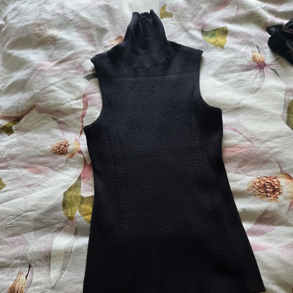 Turtleneck no sleeves